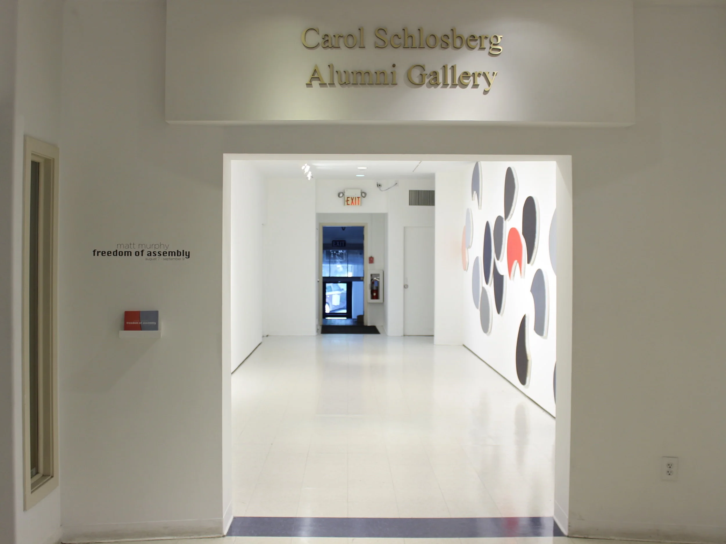 Matt Murphy: Freedom of Assembly