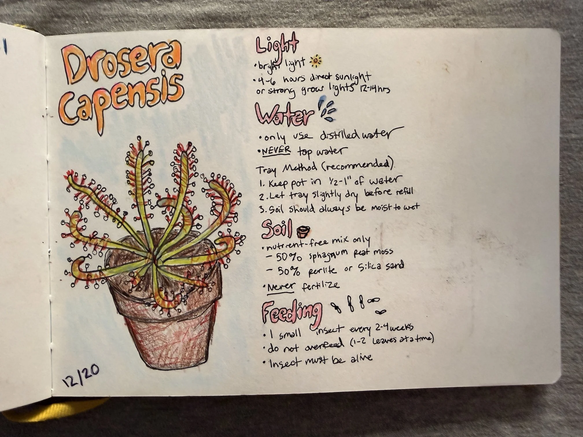 Sketchbook page